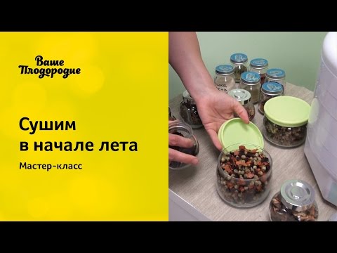 Видео: Сушим в начале лета, мастер-класс