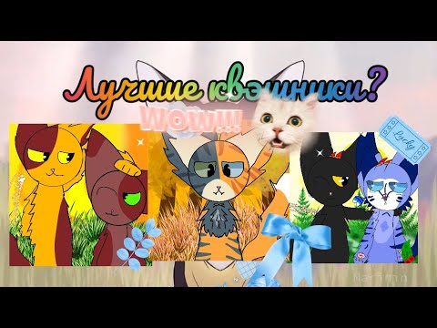 Видео: лучшие квэшники Пестрошейка Листик и Листочек и @Scrappy_pup