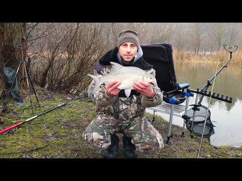 Видео: Зимовий ФІДЕР на р. Горинь. Ловля ЛЯЩА по ХОЛОДНІЙ ВОДІ!!!