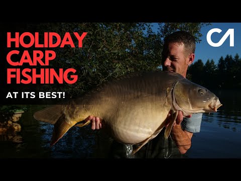 Видео: CARP ANGLE - ЭПИЧЕСКАЯ ЛОВЛЯ КАРПОВ НА ПРАЗДНИКАХ!