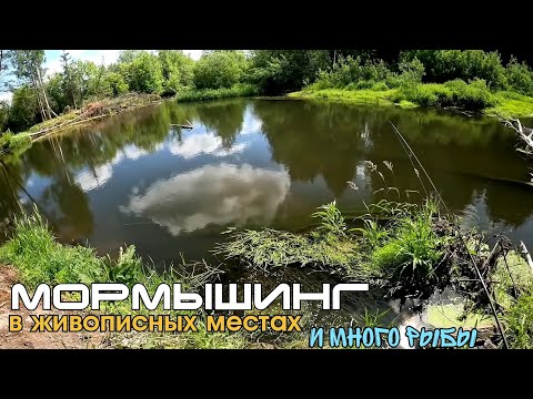 Видео: Мормышинг в живописных местах и МНОГО самой разной рыбы