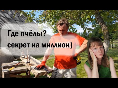 Видео: Где пчёлы, Почему мы уехали из деревни, проблемы с соседями...