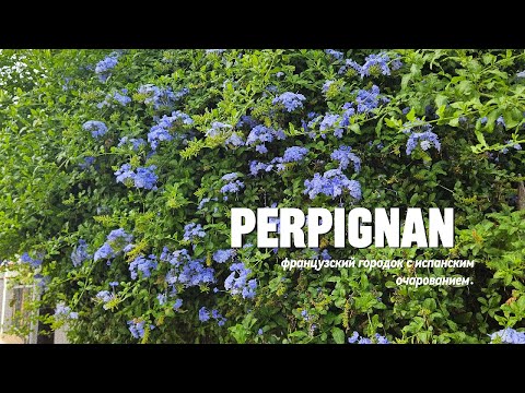 Видео: Перпиньян | Perpignan | Город на границе с Испанией | Путешествия большой семьи