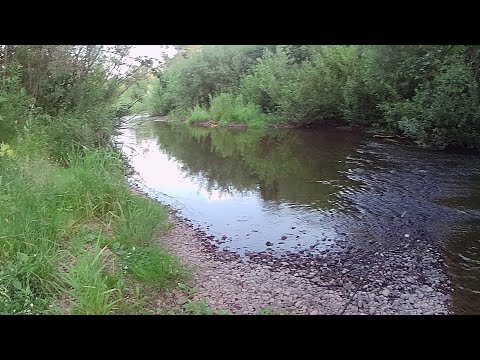 Видео: Маленькая река, БОЛЬШИЕ приключения: Спиннинговая рыбалка на микро-речке.