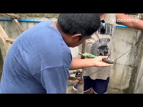 Видео: Скважина | заболел | ферма в минусе | история филиппинки и Американца