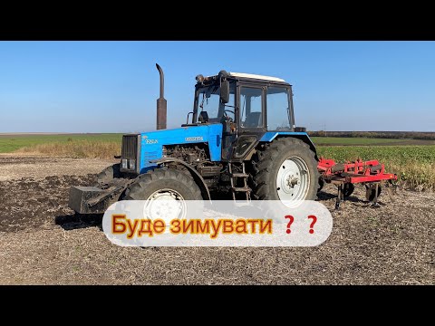 Видео: Стерневий культиватор краще плуга❓МТЗ 1221 готує поля на зимівлю стерневим культиватором❗️❗️
