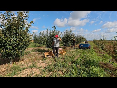 Видео: Жить в деревне, легко?