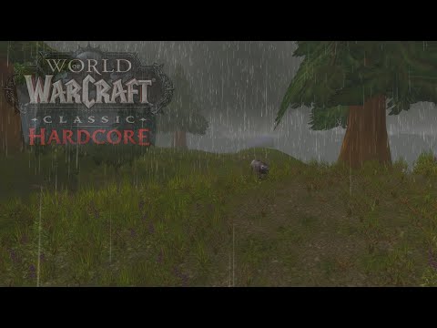 Видео: Вечером рейды на Роге WoW Classic HC