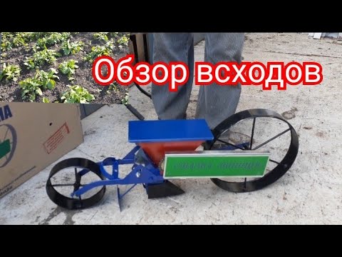 Видео: Ручная сеялка ВИННИЦА. Обзор всходов бурака для моих зрителей.