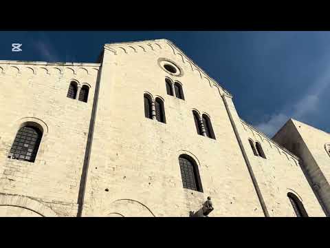 Видео: 12 ноября 2025 г.