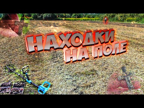 Видео: Что мы нашли на поле! Коп с Garrett Vortex!