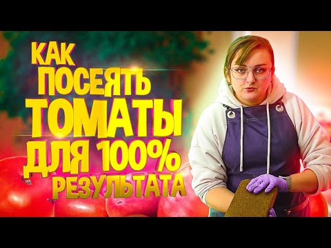 Видео: ПОСЕВ ТОМАТОВ. ПОДРОБНАЯ ИНСТРУКЦИЯ. 100 % РЕЗУЛЬТАТ