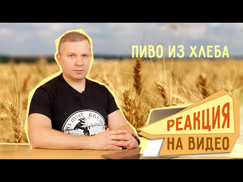 Видео: Реакция на видео «Пиво из хлеба простой рецепт»