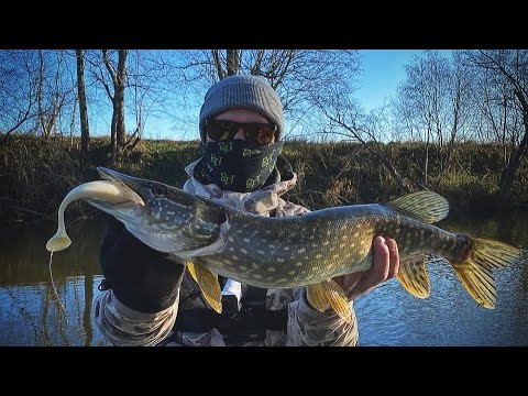 Видео: Щука! Ноябрь!