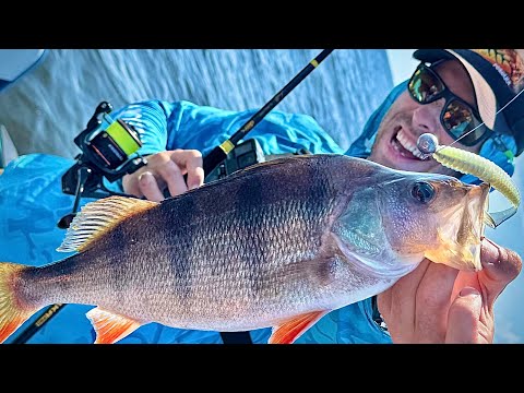 Видео: ТОЛСТЫЕ ОКУНИ рядом с домом! НАШЛИ СЕКРЕТНУЮ рыбную точку...