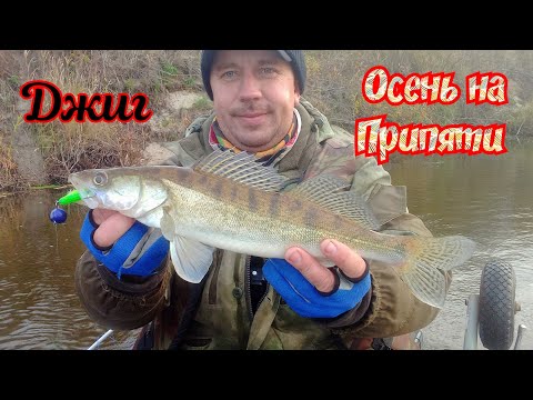 Видео: Джиг.Осенняя Припять.Судак