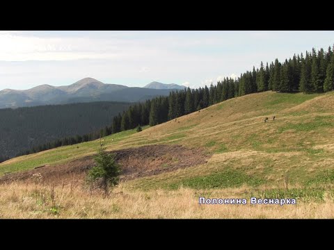 Видео: З Кривопільського перевалу на гору Костричу