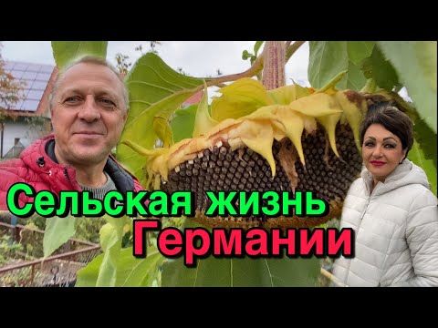 Видео: ЗАЕХАЛИ В НЕМЕЦКОЕ СЕЛО НА ВЕЧЕРНЮЮ ПРОГУЛКУ,ПОСМОТРИТЕ КАК ЖИВУТ ЛЮДИ РЯДОМ ВОЗЛЕ АТОМНОЙ СТАНЦИИ.