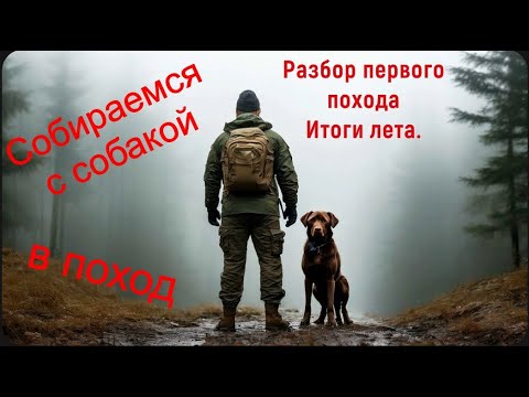 Видео: Итоги лета.