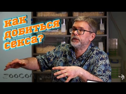 Видео: Как развести змею? Секреты от лучшего мастера.