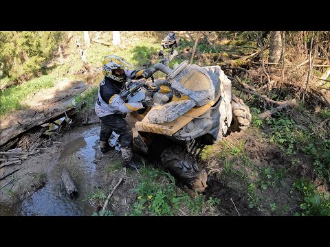 Видео: Проведали трек "старый осинник"