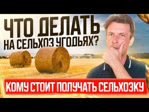Видео: Что делать на сельхоз угодьях? Особенности. Кому стоит получать сельхозку.