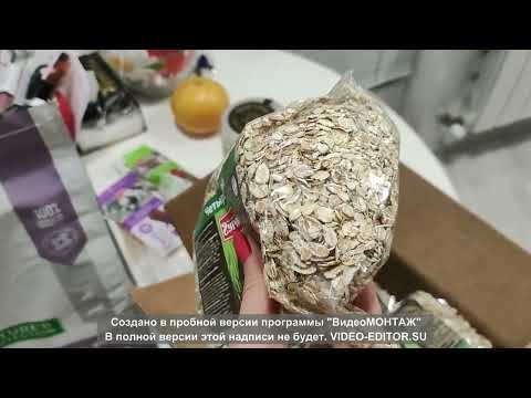 Видео: Как правильно кормить Бишона. Часть 2 (нешуточная)