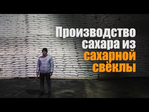 Видео: Производство сахара из сахарной свёклы