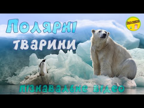 Видео: ПОЛЯРНЫЕ ЖИВОТНЫЕ, их звуки и голоса | РАЗВИВАЮЩИЕ ВИДЕО ДЛЯ ДЕТЕЙ