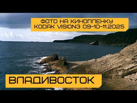 Видео: E81 Владивосток. Фото на кинопленку Kodak Vision3. Корифена (махи-махи), окунь Шлегеля.