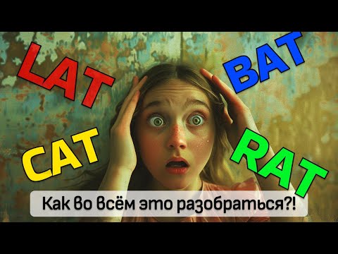 Видео: Протоколы коррекции проблемного поведения собак