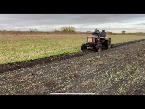 Видео: Дискуємо саморобним трактором і сіємо — буденний влог
