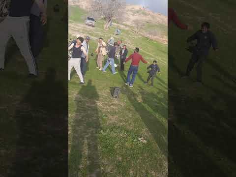 Видео: сари кух