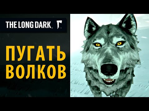 Видео: Как отогнать лесных волков в The Long Dark