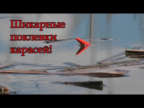 Видео: ЛОВЛЯ КАРАСЯ НА  (ПОПЛАВОЧНУЮ УДОЧКУ) И МОРМЫШКУ