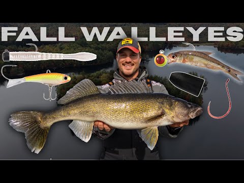 Видео: Приманки для ловли судака осенью на ЛЮБОМ озере (удилище + катушка + каденция)