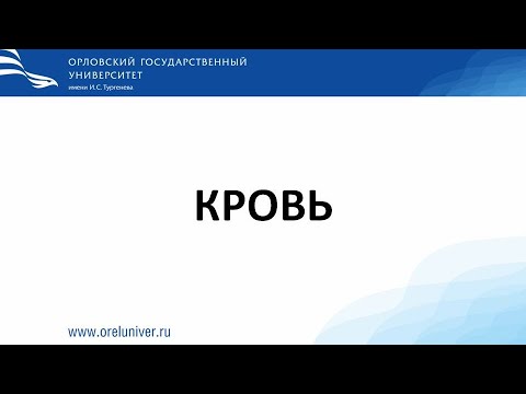 Видео: Кровь