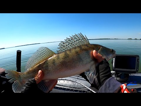 Видео: Ловля ОКУНЯ и СУДАКА на водохранилище!