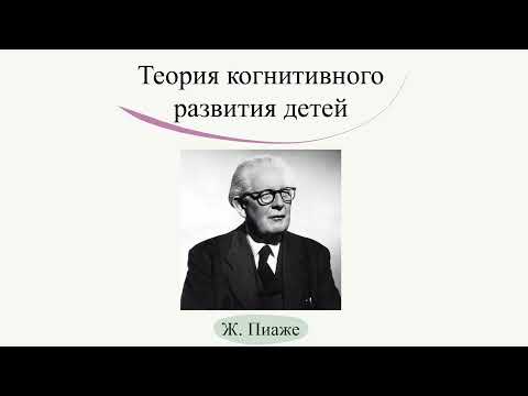 Видео: Теория когнитивного развития Ж. Пиаже