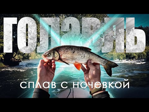 Видео: ГОЛАВЛЬ на одиночном сплаве. Ночевка в гамаке в лесу.