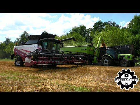 Видео: Комбайны Торум-785 и трактор Zoomlion на перегрузке. Уборочная в Липецкой области