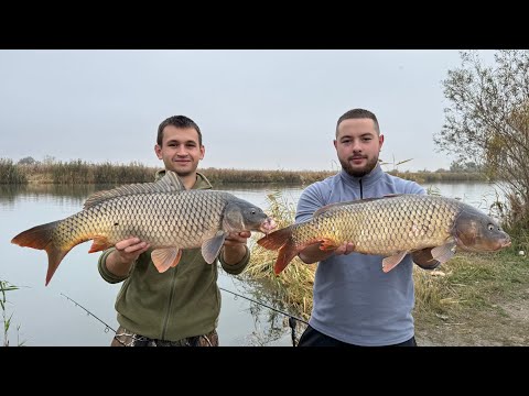 Видео: Спіймали більше риби ніж за СЕЗОН! На Дністер з ночівлею. Ловим САЗАНА на горох