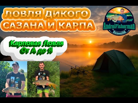 Видео: Карповая ловля от А до Я | 2 суток на озере: тактика, прикорм, поклёвки, советы | Рыбалка 2025