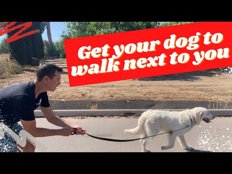 Видео: Узнайте об уникальном методе, который изменил жизни многих людей.