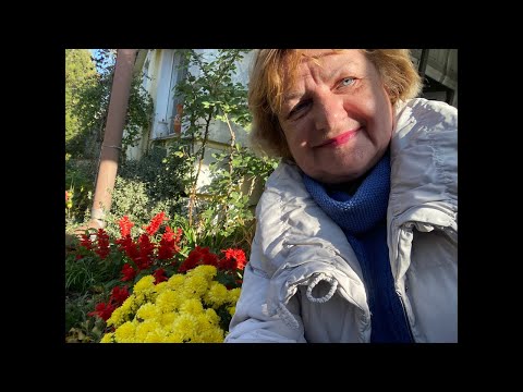 Видео: Несу гостинец !