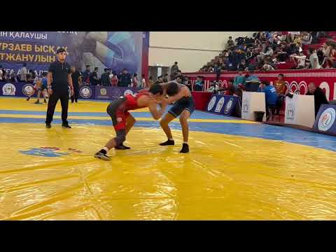 Видео: 2 ноября 2025 г.