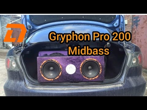 Видео: Dl Audio Gryphon Pro 200 Midbass.Обзор на  лучшие бюджетные мидбасы.