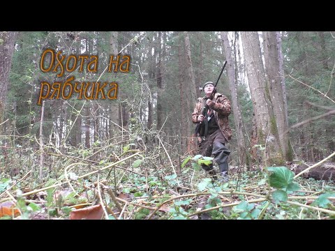 Видео: На рябчика с манком. Добыли с товарищем двух рябчиков.