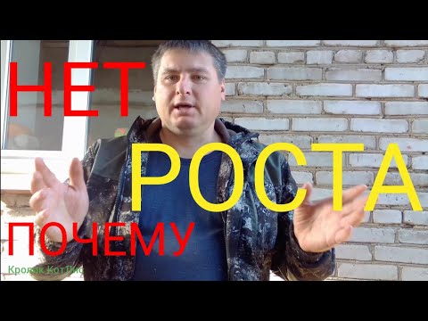 Видео: Почему КРОЛЬЧАТА растут МАЛЕНЬКИЕ.Причины ПЛОХОГО РОСТА кроликов.Что ВЛИЯЕТ на РОСТ кроликов.