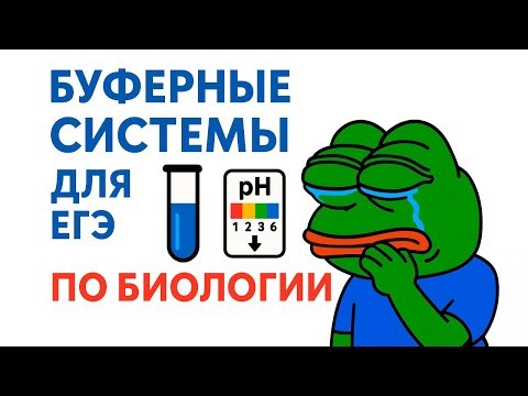 Видео: ВСЕ ПРО БУФЕРНЫЕ СИСТЕМЫ ДЛЯ ЕГЭ ПО БИОЛОГИИ: ацидоз, алкалоз, попадоз...